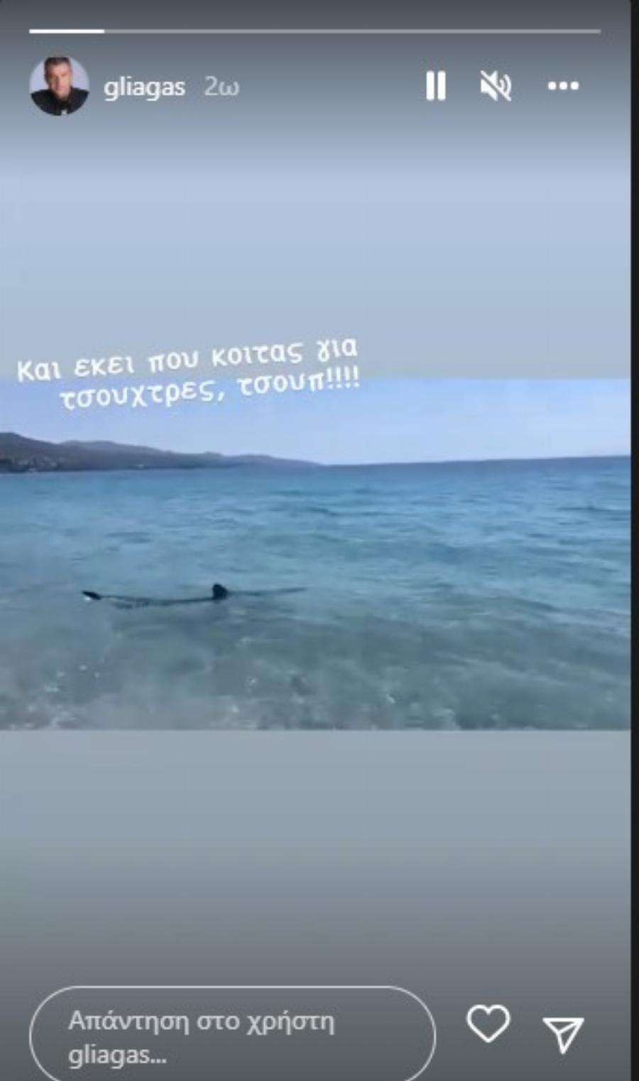 Στιγμές τρόμου για τον Γιώργο Λιάγκα: Βρέθηκε αντιμέτωπος με καρχαρία