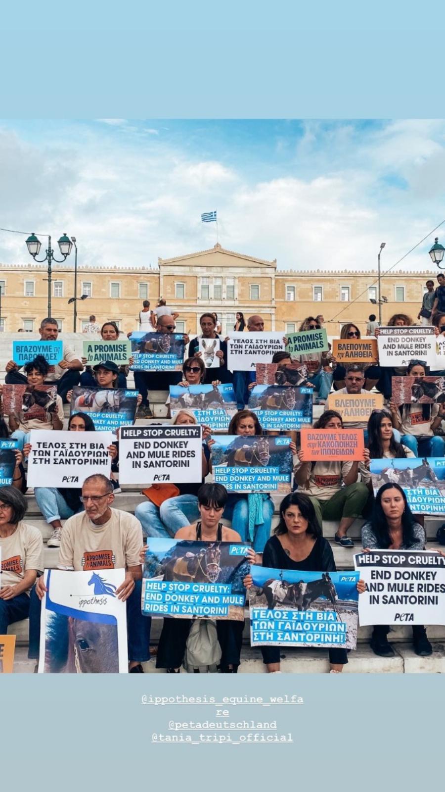 Με πλακάτ και συνθήματα η Εριέττα Κούρκουλου: Σε διαμαρτυρία στο Σύνταγμα με τον γιο και τον σύζυγό της