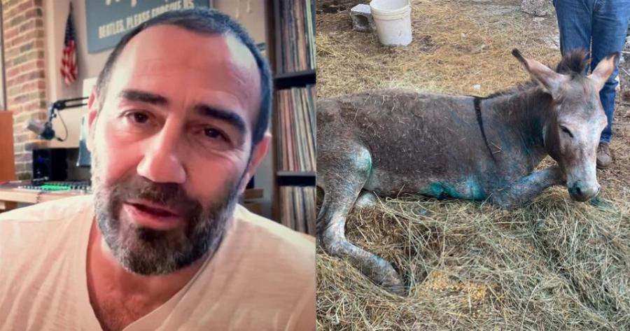 Αντώνη τους «δίκασες»: Η ανάρτηση του Αντώνη Κανάκη για το περιστατικό με το γαϊδουράκι που σαρώνει στο διαδίκτυο