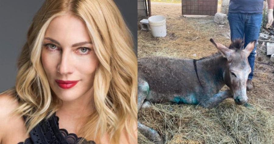 Συγκινεί η ανάρτηση της Σμαράγδας Καρύδη για το άτυχο γαϊδουράκι: «Εσύ που κουβάλησες τα βάρη του κόσμου θα ξεκουραστείς τώρα»