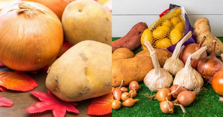 Το γνωρίζατε; Ο σοβαρός λόγος που δεν πρέπει να αποθηκεύετε τις πατάτες στο ίδιο μέρος με τα κρεμμύδια