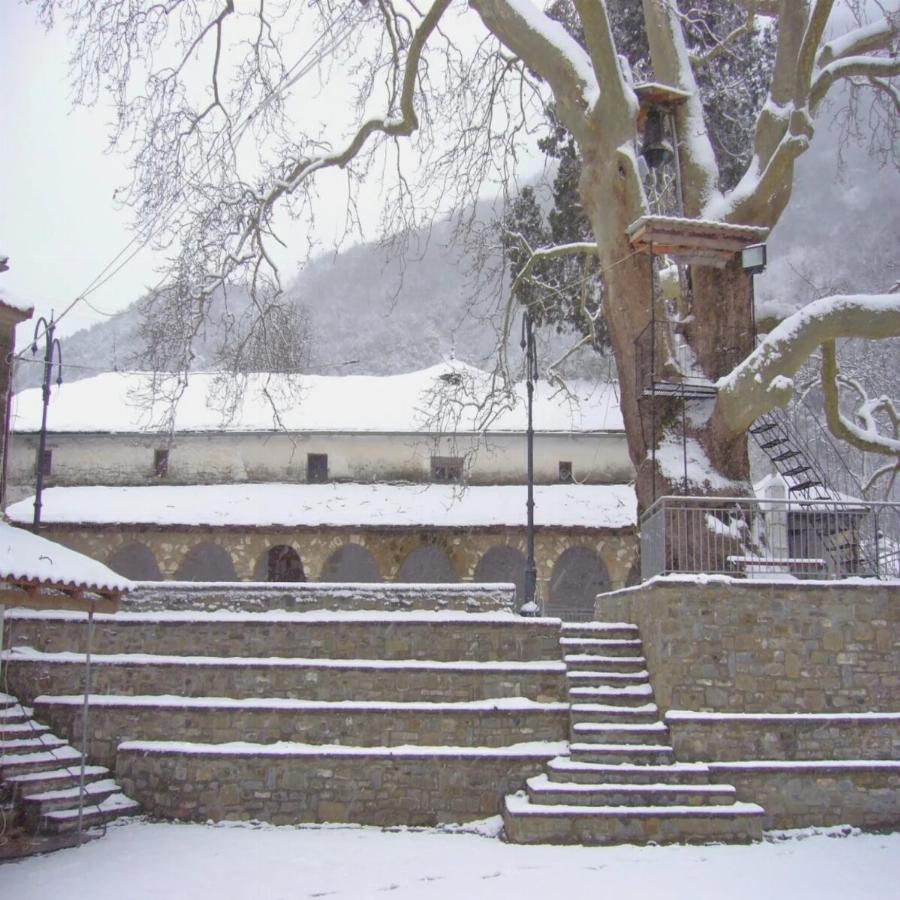 Άφησε για πάντα την πρωτεύουσα: Ο 33χρονος που άφησε την Αθήνα για να ζήσει στα Ζαγοροχώρια και να έχει το μοναδικό μαγαζί στο χωριό