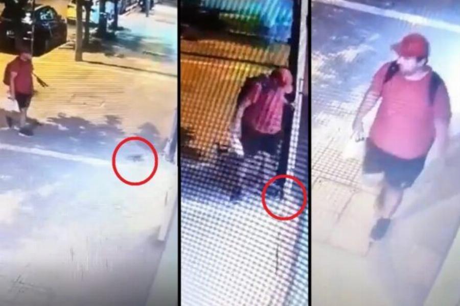 Ταυτοποιήθηκε ο άνδρας που ποδοπάτησε μέχρι θανάτου το γατάκι στη Θεσσαλονίκη