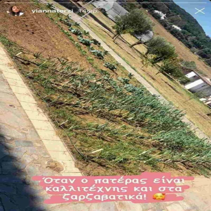 Ένας παράδεισος με μποστάνι και ελιές: Ο τεράστιος κήπος που έχει το σπίτι που ζει ο Πασχάλης Τερζής μακριά από τα φώτα