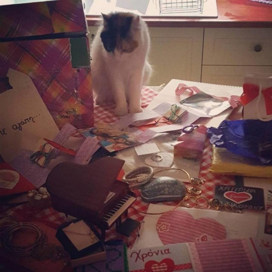 Κατερίνα Στικούδη: Αυτό είναι το παραδοσιακό σπίτι της με την κλασική διακόσμηση και τα δύο πιάνο στο σαλόνι