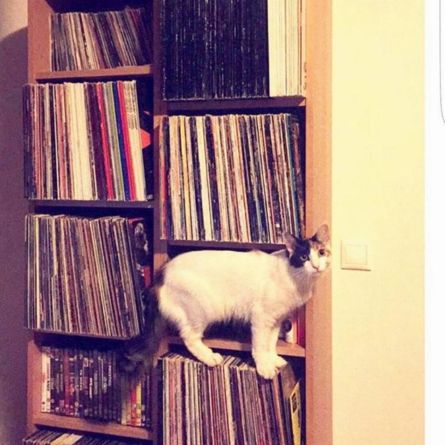 Κατερίνα Στικούδη: Αυτό είναι το παραδοσιακό σπίτι της με την κλασική διακόσμηση και τα δύο πιάνο στο σαλόνι