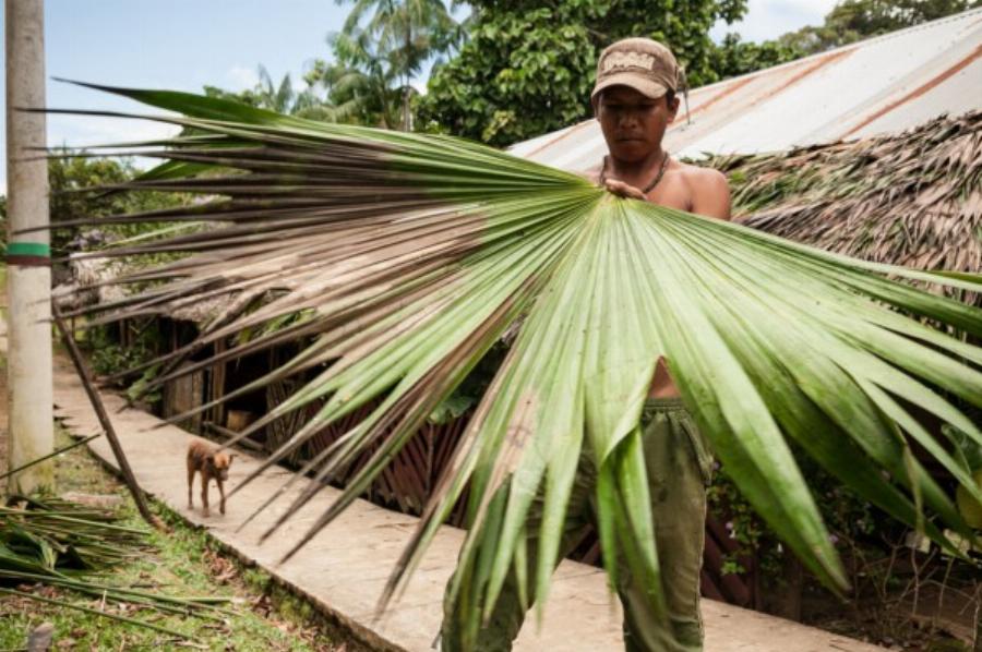 Η Μακεδονία του Αμαζονίου: Ο Δημήτρης Μαχαιρίδης και ο Διονύσης Κουρής έφτασαν μετά απο οδοιπορικό σε ένα μυθικό χωριό