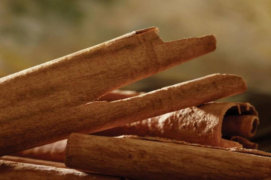 Πείτε «αντίο» στον σκόρο: 2 απλά υλικά είναι ικανά να τον εξοντώσουν και να γίνει παρελθόν