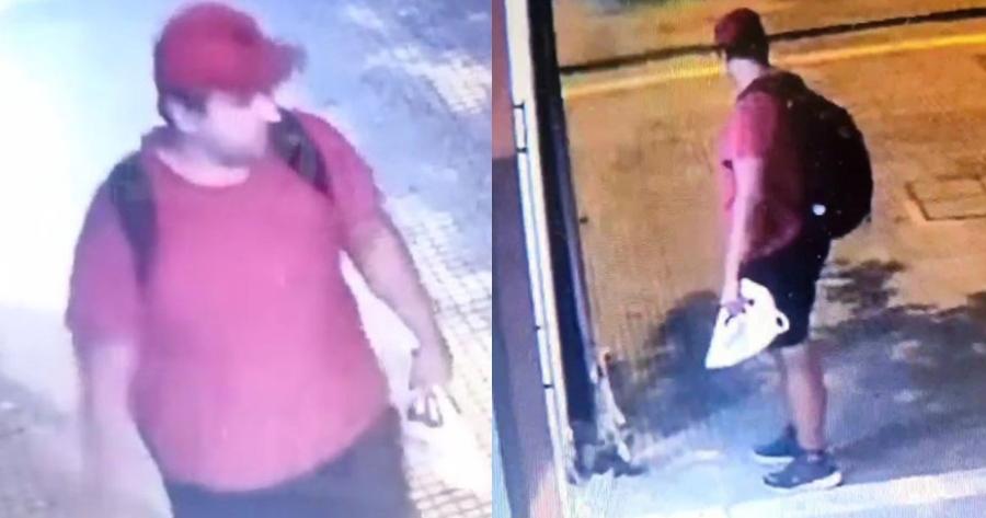 Πρόστιμο για τον ασυνείδητο δράστη: 30.000 ευρώ θα πληρώσει ο 40χρονος που πάτησε και «έλιωσε» το γατάκι στη Θεσσαλονίκη