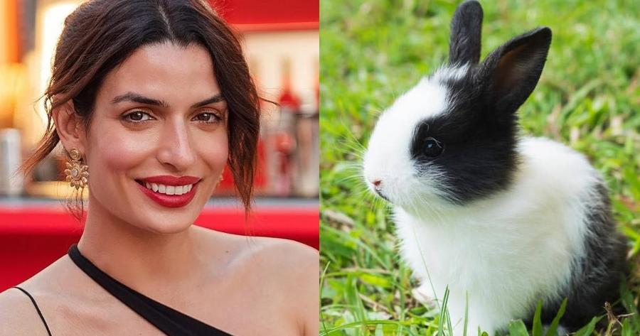 Τόνια Σωτηροπούλου: «Μπορώ να υιοθετήσω 35 κουνέλια και να μην κάνω ποτέ παιδιά»