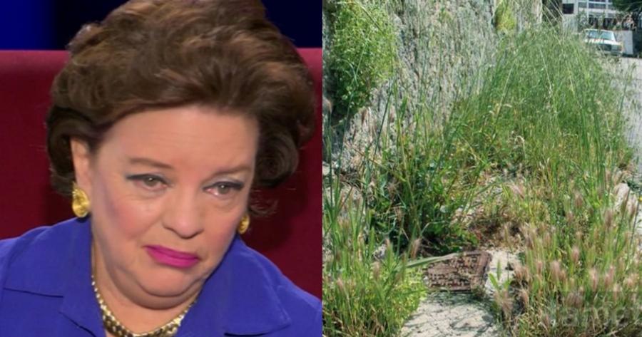 Μάρα Μεϊμαρίδη: «Είχα ξαναγεννηθεί ως χόρτο σε άλλη ζωή. Είναι σπάνιο να ξαναγίνεις άνθρωπος»