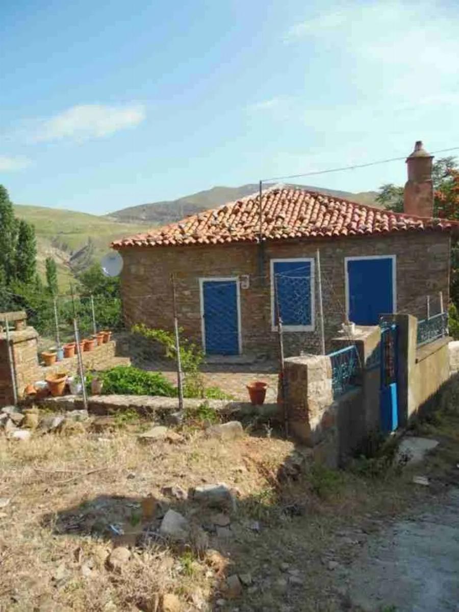 Ένας μικρός θεός στην Ίμβρο: Ομογενής από την Αυστραλία αναστηλώνει ερειπωμένα κτίρια και διοργανώνει εκδηλώσεις