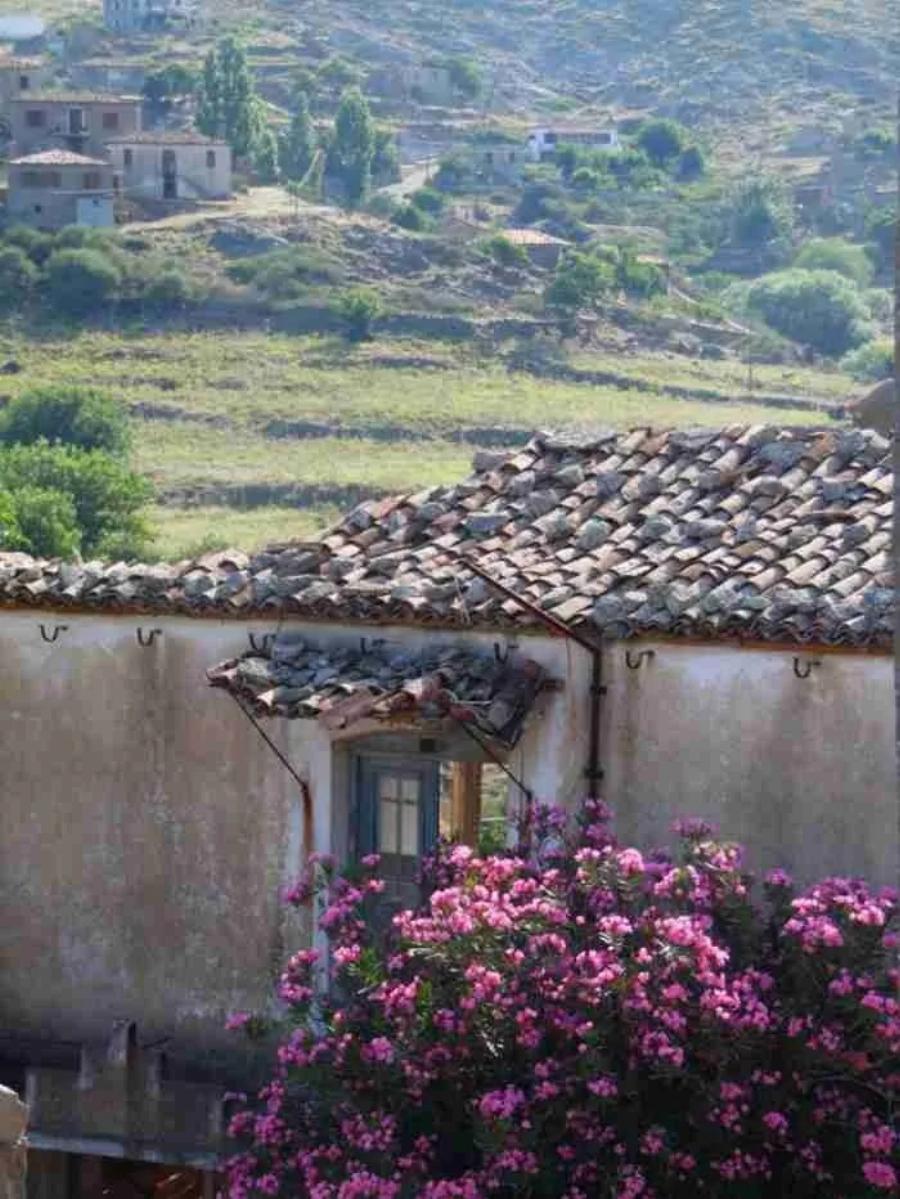 Ένας μικρός θεός στην Ίμβρο: Ομογενής από την Αυστραλία αναστηλώνει ερειπωμένα κτίρια και διοργανώνει εκδηλώσεις