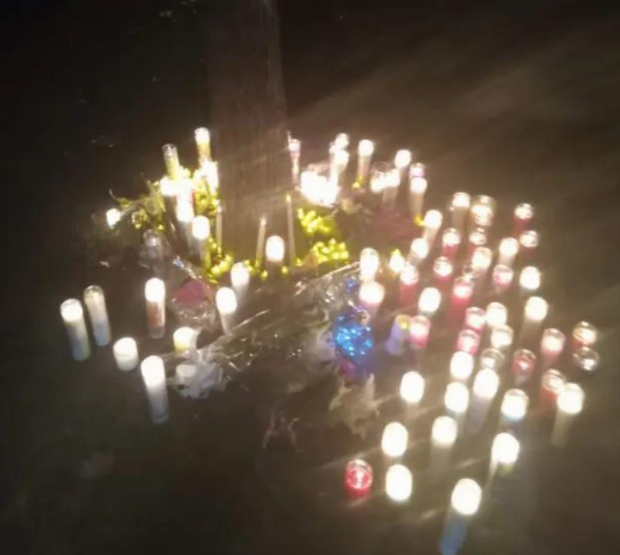 ΗΠΑ: Βαρύ το πένθος για τον 13χρονο – Σκοτώθηκε για να σώσει την αδελφή του – «Δεν έχει καμία εγκεφαλική λειτουργία, χάθηκε για πάντα»