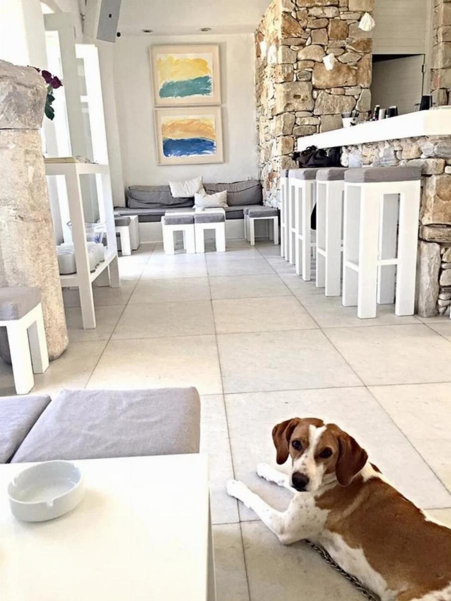 Έριξε «μαύρη πέτρα» πίσω της: Η Σοφία Αλιμπέρτη άλλαξε επάγγελμα και μετακόμισε – Η νέα δουλειά που της χάρισε την ηρεμία που αποζητούσε