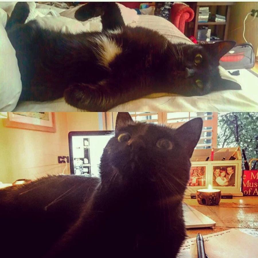 Ατμοσφαιρικό και χουχουλιάρικο: Το σπίτι του Χριστόφορου Παπακαλιάτη είναι βγαλμένο από τις σειρές του