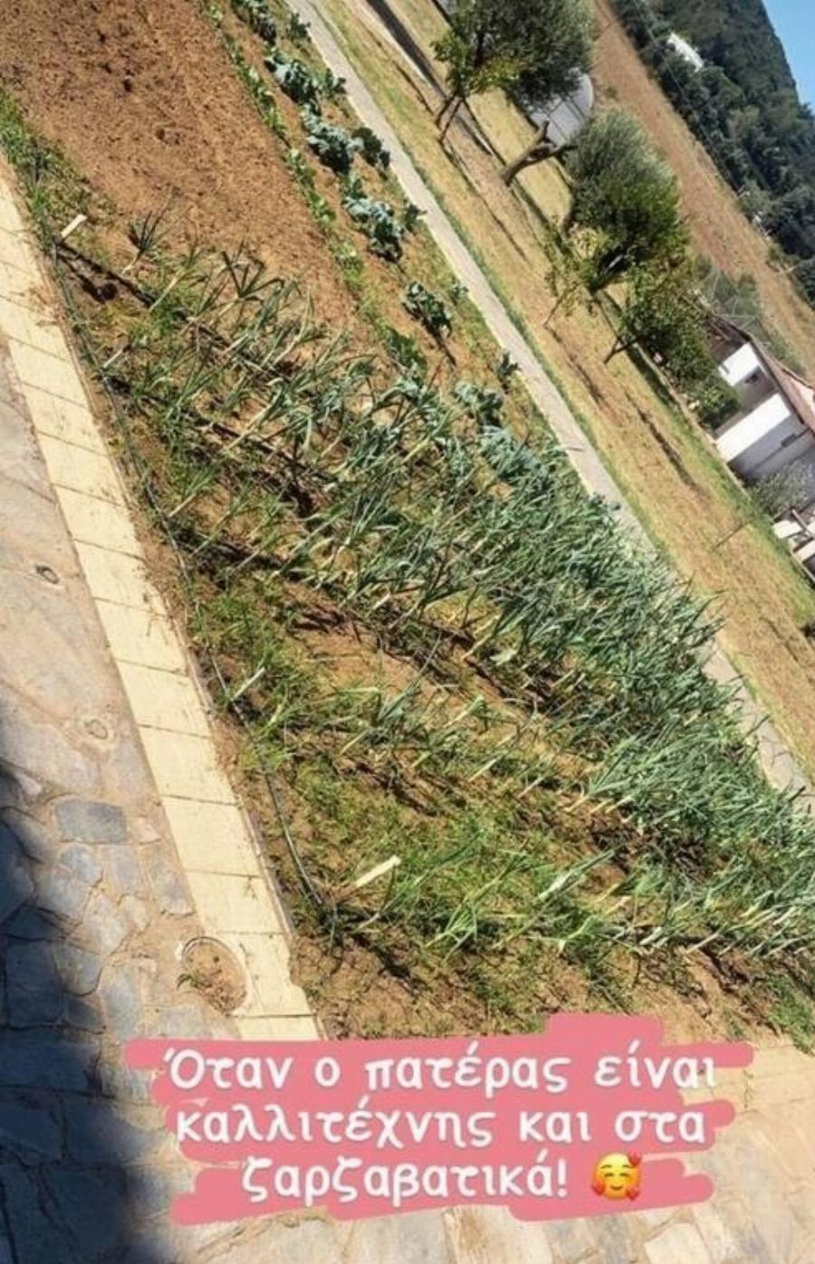 Μακριά από το καυσαέριο της πόλης: Το τεράστιο αμπέλι του Πασχάλη Τερζή στο σπίτι όπου ζει έξω από τη Θεσσαλονίκη