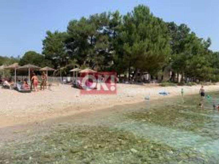 Άλλαξε καριέρα, έγινε «φαρμακοποιός» και είναι μία άλλη: Η εξαφάνιση της Γιολάντας Διαμαντή και απόκτηση των παιδιών της