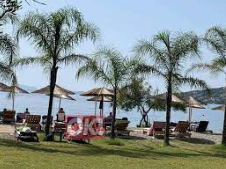 Άλλαξε καριέρα, έγινε «φαρμακοποιός» και είναι μία άλλη: Η εξαφάνιση της Γιολάντας Διαμαντή και απόκτηση των παιδιών της