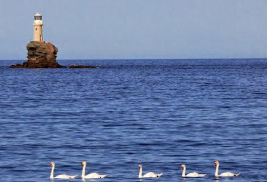 Κόβει την ανάσα: Στην Ελλάδα έχουμε τον ωραιότερο φάρο του κόσμου και βρίσκεται στην Άνδρο