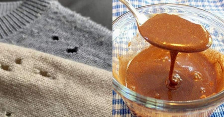 Πείτε «αντίο» στον σκόρο: 2 απλά υλικά είναι ικανά να τον εξοντώσουν και να γίνει παρελθόν