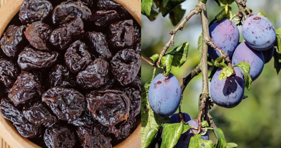 Δαμάσκηνα: Μειώνει τον κίνδυνο εμφάνισης καρκίνου του παχέως εντέρου, ενδυναμώνουν το ανοσοποιητικό σύστημα και προστατεύουν την καρδιά