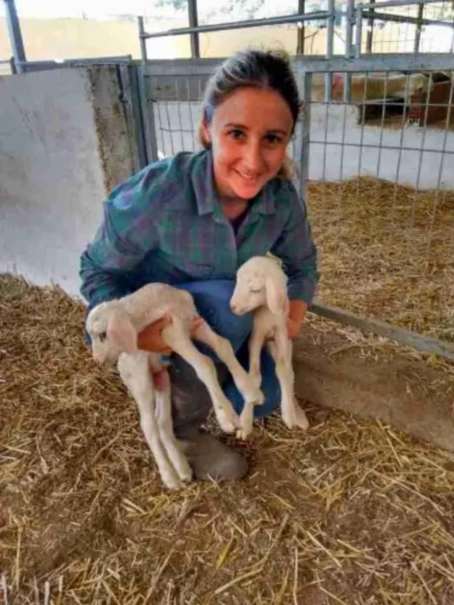 Από το θέατρο στην γαλακτοπαραγωγή: Παράτησε το Λονδίνο και επέστρεψε να αρμέγει πρόβατα στο Αιτωλικό