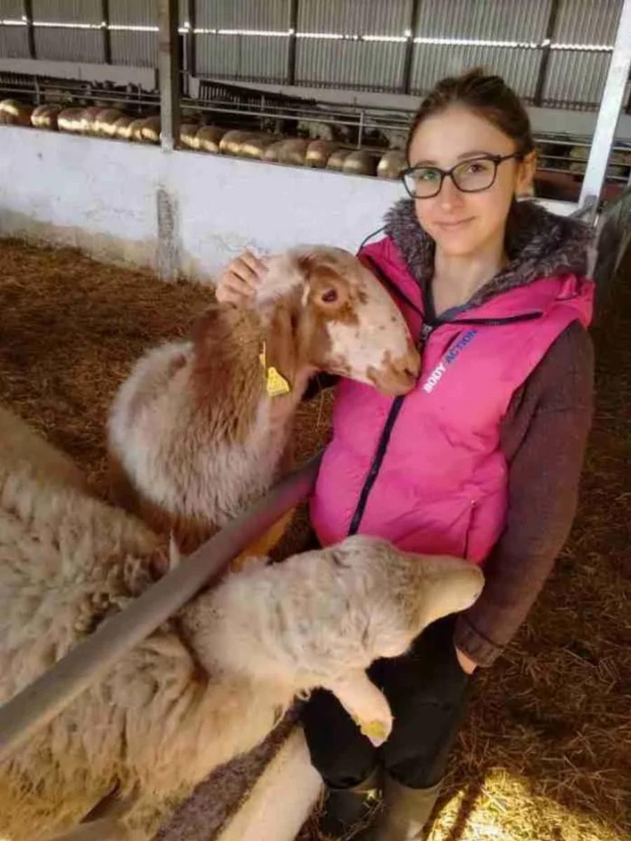 Από το θέατρο στην γαλακτοπαραγωγή: Παράτησε το Λονδίνο και επέστρεψε να αρμέγει πρόβατα στο Αιτωλικό