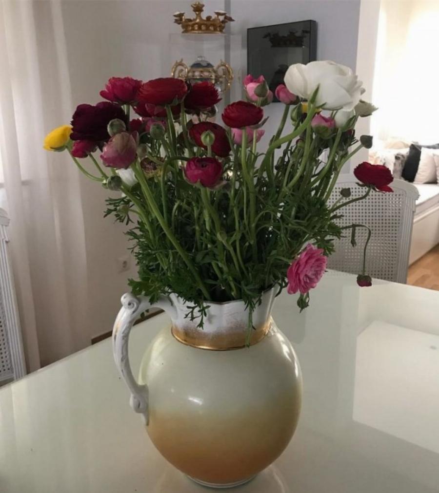 Διονύσης Σχοινάς – Καίτη Γαρμπή: Μέσα στο εντυπωσιακό και μοντέρνο σπίτι τους στην Νέα Ερυθραία