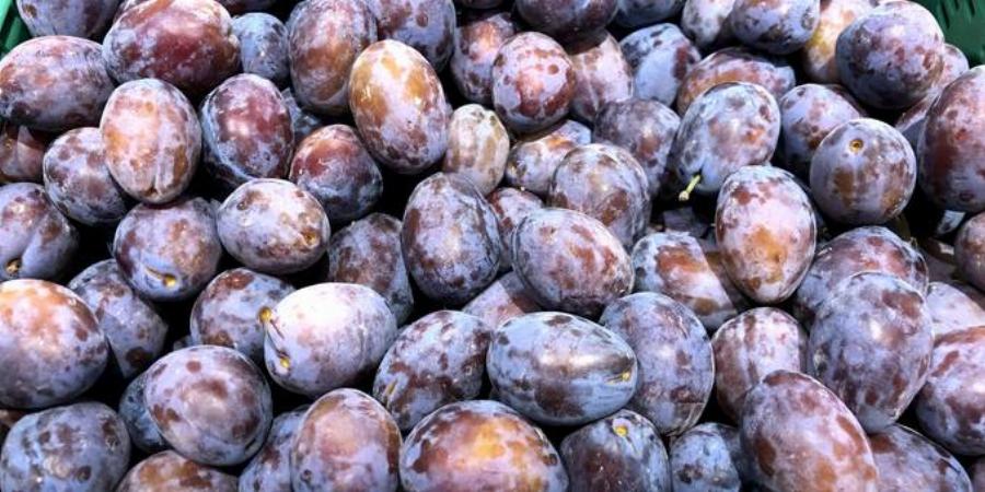 Δαμάσκηνα: Μειώνει τον κίνδυνο εμφάνισης καρκίνου του παχέως εντέρου, ενδυναμώνουν το ανοσοποιητικό σύστημα και προστατεύουν την καρδιά