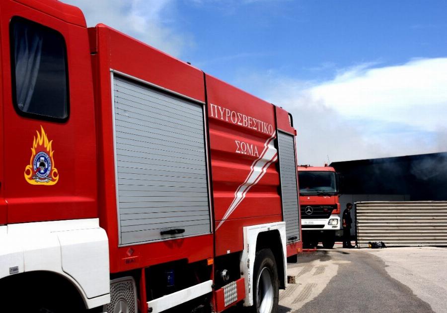 Ο τρόμος και ο φόβος στη Λάρισα: Φοιτήτρια ξύπνησε και είδε μια οχιά μέσα στο διαμέρισμά της