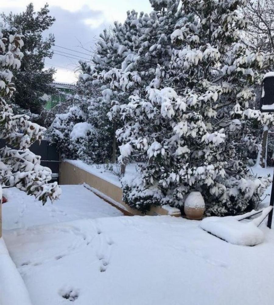 Με τεράστια πισίνα και 5 υπνοδωμάτια: Αυτό είναι το σπίτι-παλάτι της Ελένης Μενεγάκη και του Ματέο Παντζόπουλου