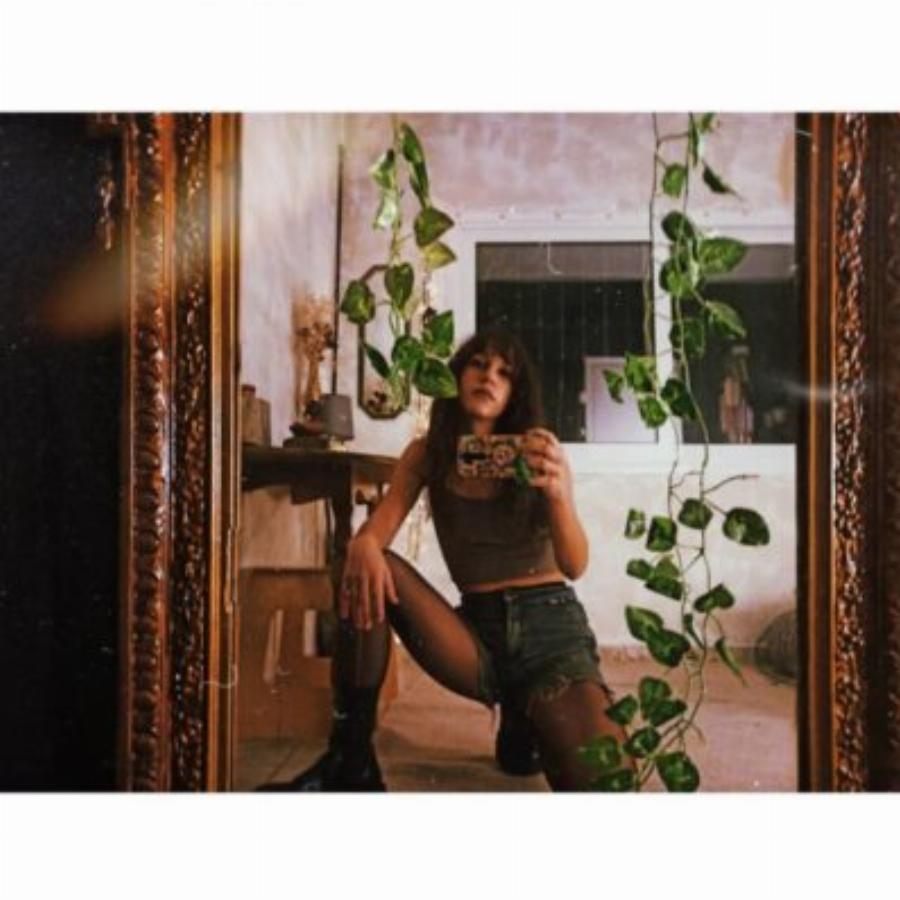 Θυμίζει «καφέ της χαράς»: Το παραδοσιακό σπίτι των Σκιαδαρέση-Μάλφα με την μεγάλη βιβλιοθήκη, τα ξύλινα έπιπλα και τους όμορφους πίνακες