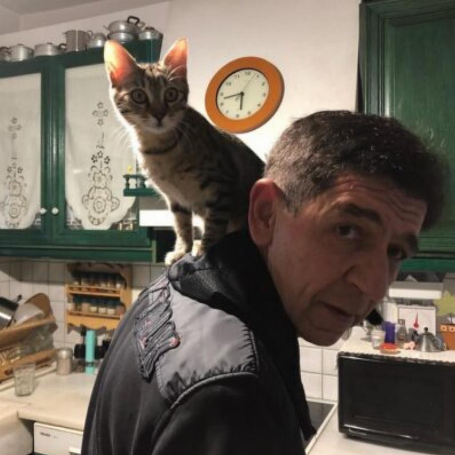 Θυμίζει «καφέ της χαράς»: Το παραδοσιακό σπίτι των Σκιαδαρέση-Μάλφα με την μεγάλη βιβλιοθήκη, τα ξύλινα έπιπλα και τους όμορφους πίνακες