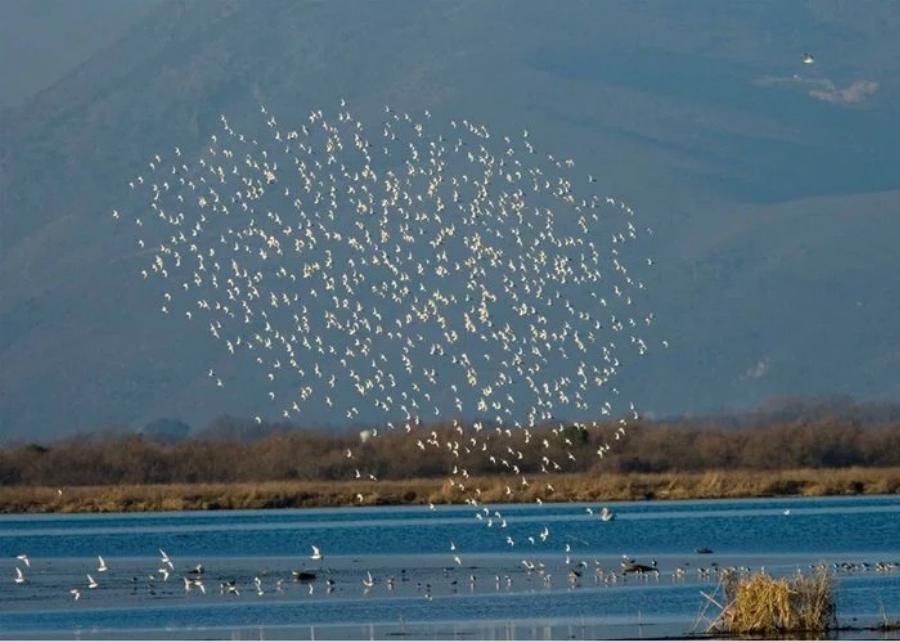 Παραμυθένια ομορφιά: Το ωραιότερο μοναστήρι της Ελλάδας βρίσκεται σε 2 νησάκια που τα ενώνει μια ξύλινη γέφυρα
