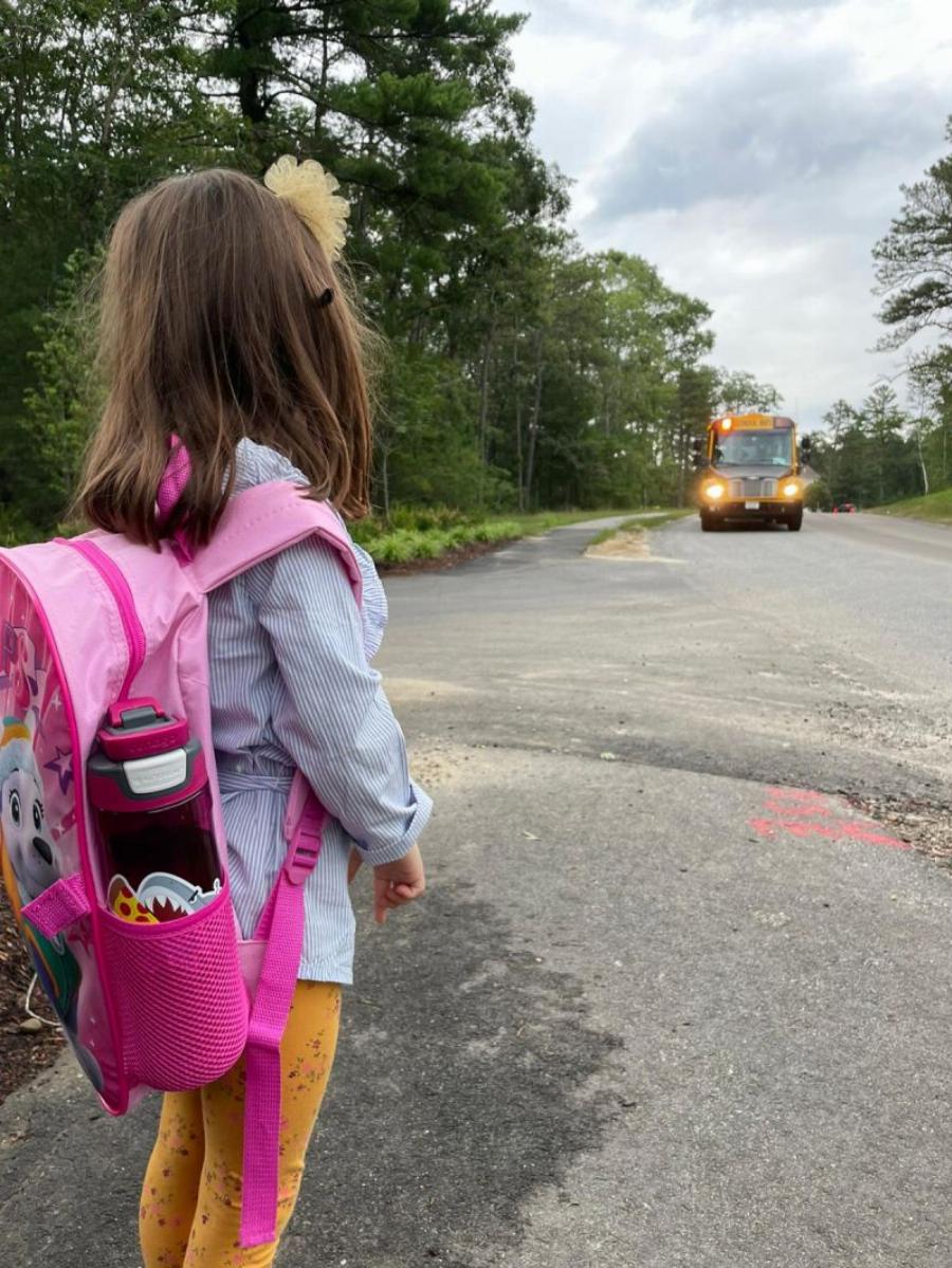 Μαθήματα ανθρωπιάς από μια δασκάλα: Δωρίζει κάθε μήνα πλάσμα σε 9χρονη μαθήτρια για να την κρατήσει στη ζωή