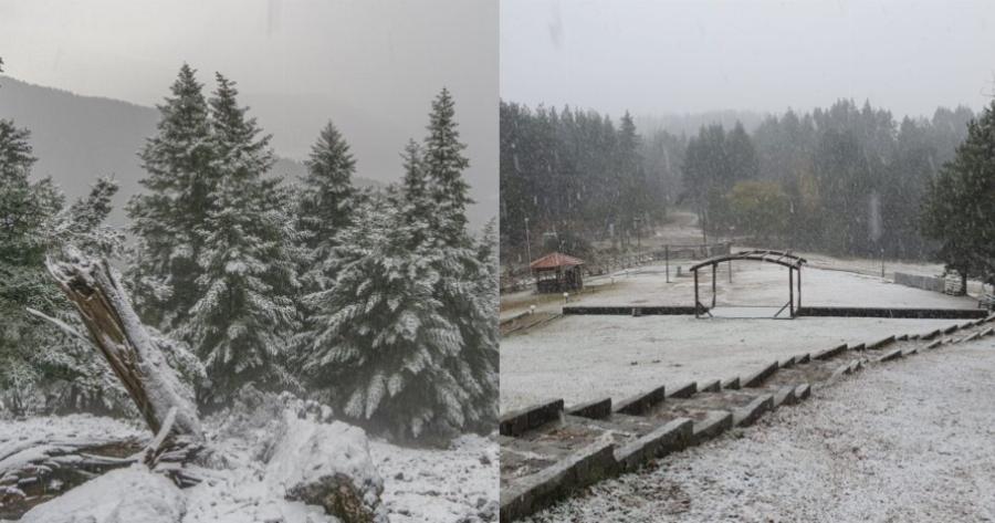 Έπεσαν τα πρώτα χιόνια: Στα λευκά ο Παρνασσός, Καϊμάκτσαλαν και ορεινά χωριά των Τρικάλων