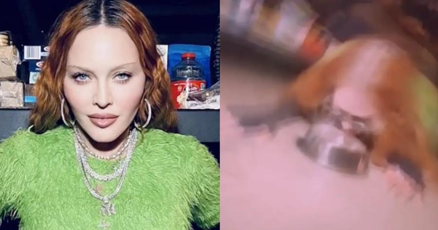 Σούσουρο με την Μαντόνα: Ανησυχία στους θαυμαστές της μετά από το βίντεο που πίνει νερό από μπολ σκύλου