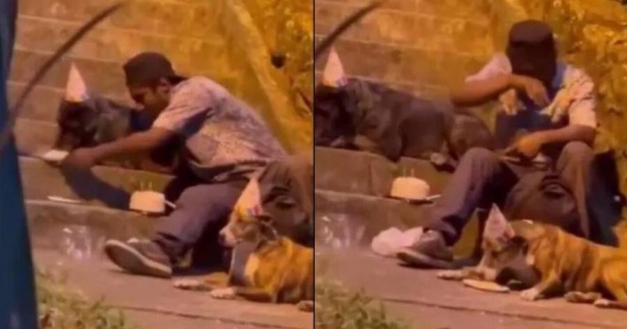 Συγκινήθηκε όλο το Ίντερνετ: Νεαρός άστεγος κάνει πάρτι γενεθλίων στον σκύλο του με καπελάκια, τούρτα και κεράκια