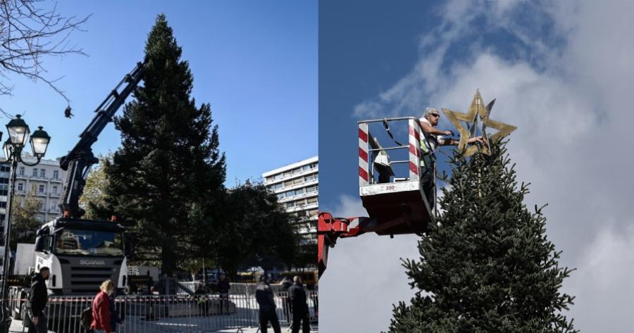 Ψηλό σαν 7όροφη πολυκατοικία: Στήθηκε το χριστουγεννιάτικο δέντρο στο Σύνταγμα