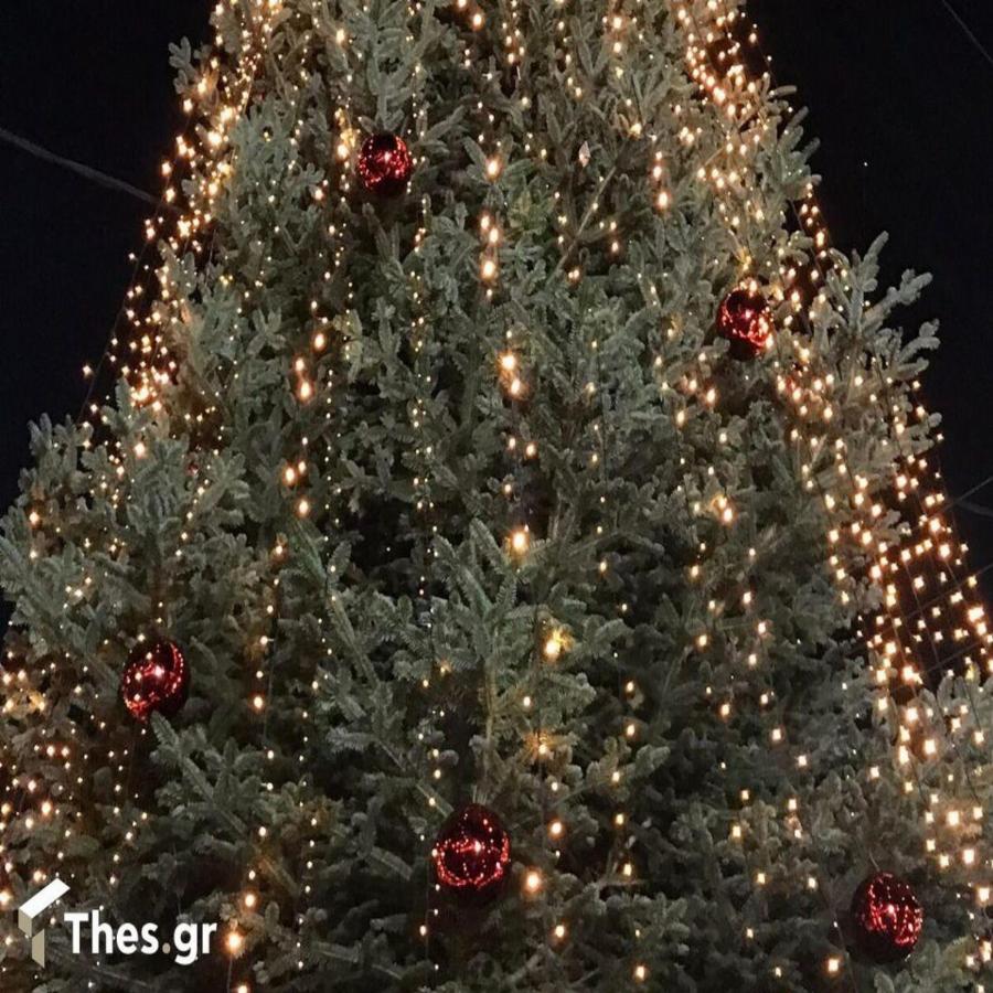 Τα Χριστούγεννα είναι εδώ: Φωταγωγήθηκε το πρώτο χριστουγεννιάτικο δέντρο στην Ελλάδα