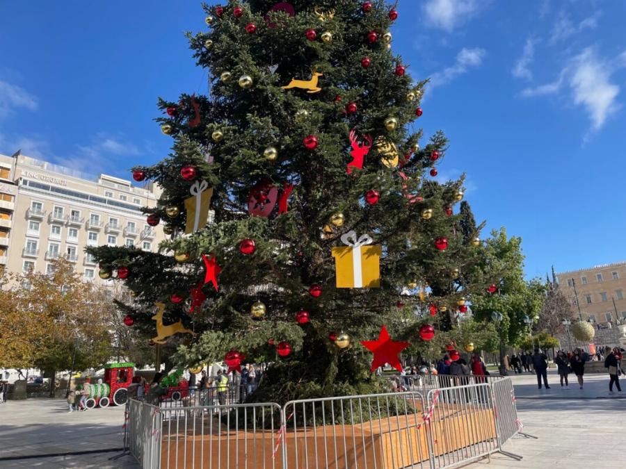 Ψηλό σαν 7όροφη πολυκατοικία: Στήθηκε το χριστουγεννιάτικο δέντρο στο Σύνταγμα