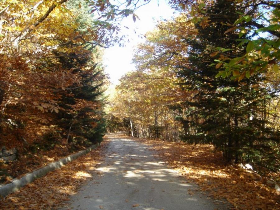 Τα 5 χωριά που είναι οι απόλυτοι χειμερινοί προορισμοί: Το μαγευτικό τοπίο και γιορτινό κλίμα της εποχής