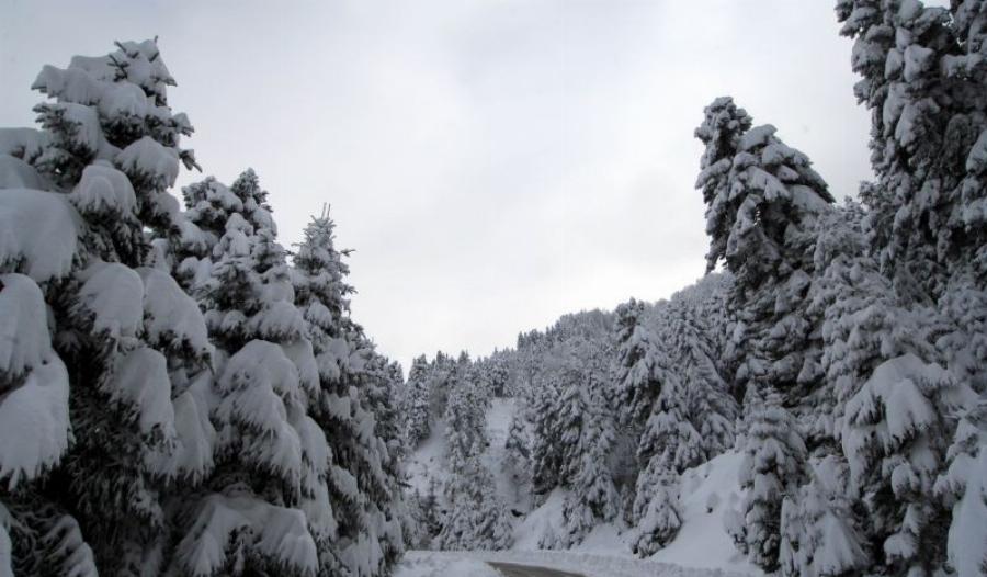 Έρχεται κρύο και χιόνια: Τι καιρό θα κάνει τα Χριστούγεννα σύμφωνα με τα Μερομήνια