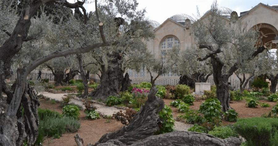 Η τελευταία προσευχή πριν την Σταύρωση: O τόπος στον οποίο προσευχήθηκε ο Χριστός πριν τον μαρτυρικό θάνατo