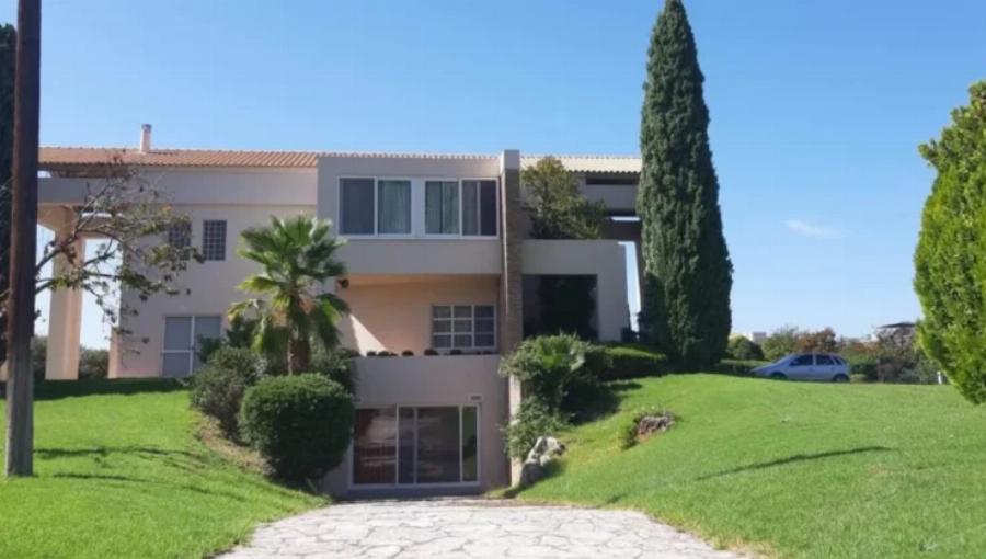 Νέα αποκάλυψη για τη Κιβωτό του Κόσμου: Η χήρα του Καρέλια μιλά για τη μεγάλη δωρεά – «Η πρεσβυτέρα μου ζήτησε να φτιάξουμε θέατρο»