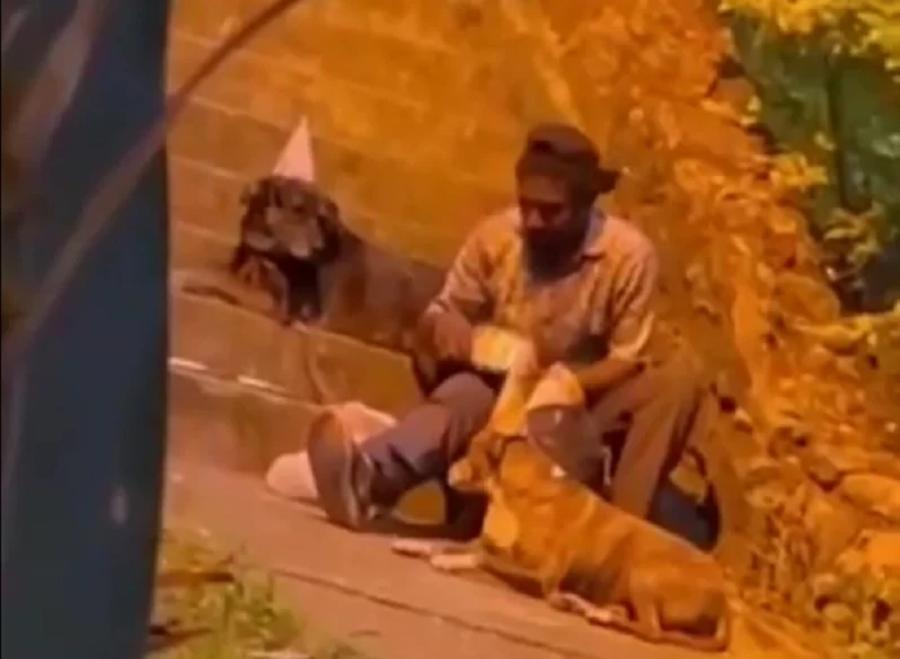 Συγκινήθηκε όλο το Ίντερνετ: Νεαρός άστεγος κάνει πάρτι γενεθλίων στον σκύλο του με καπελάκια, τούρτα και κεράκια