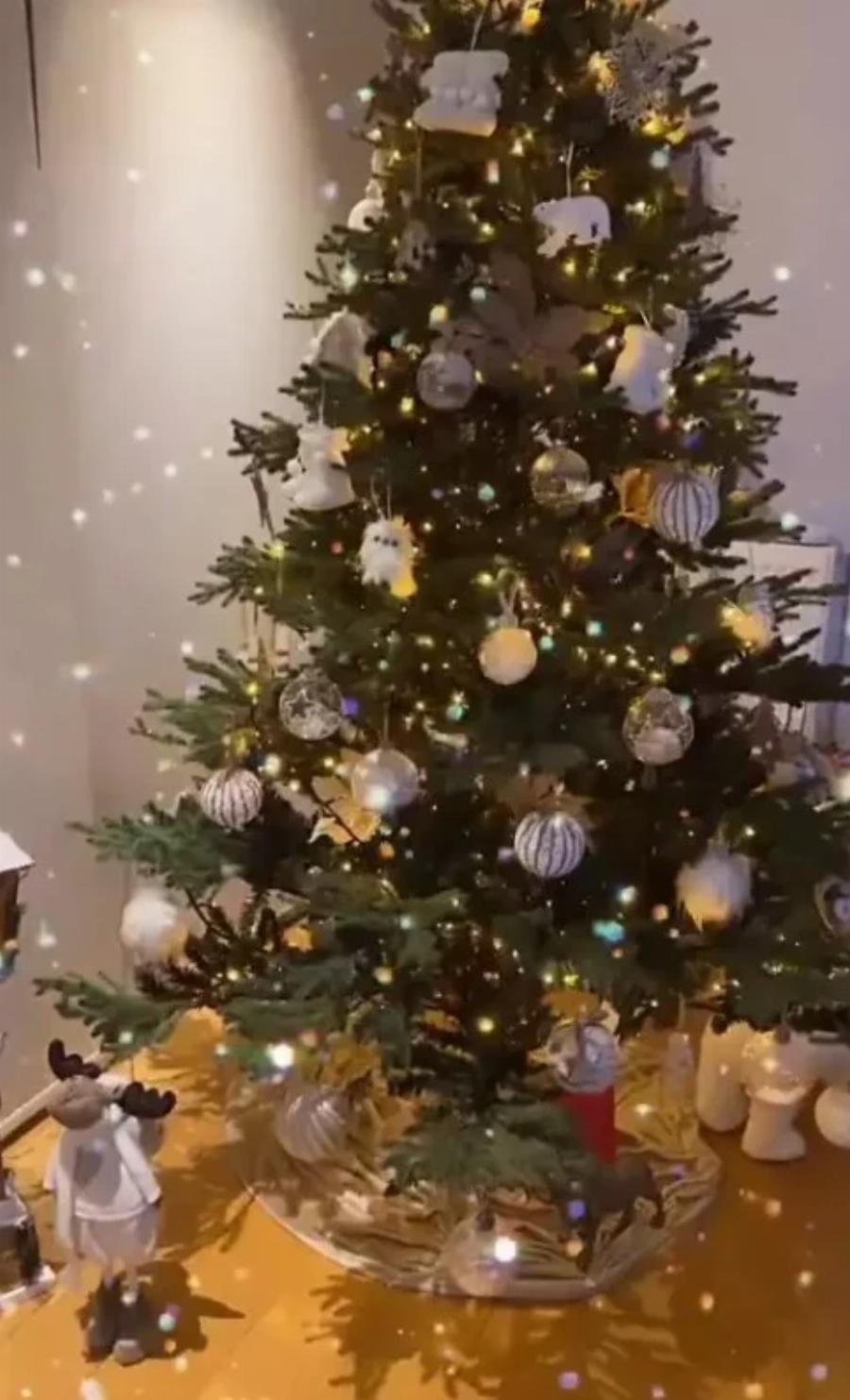 Σαν χριστουγεννιάτικο παραμύθι: Η Ολυμπία Χοψονίδου στόλισε το ονειρικό σπίτι της και μείναμε άφωνοι