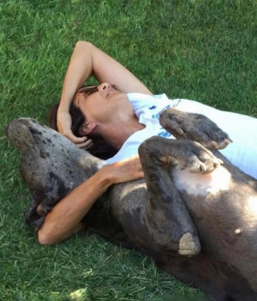 «Τώρα καλπάζει σε άλλους ουρανούς»: Δύσκολες ώρες για την Άλκηστις Πρωτοψάλτη, το τελευταίο αντίο και η ανάρτηση