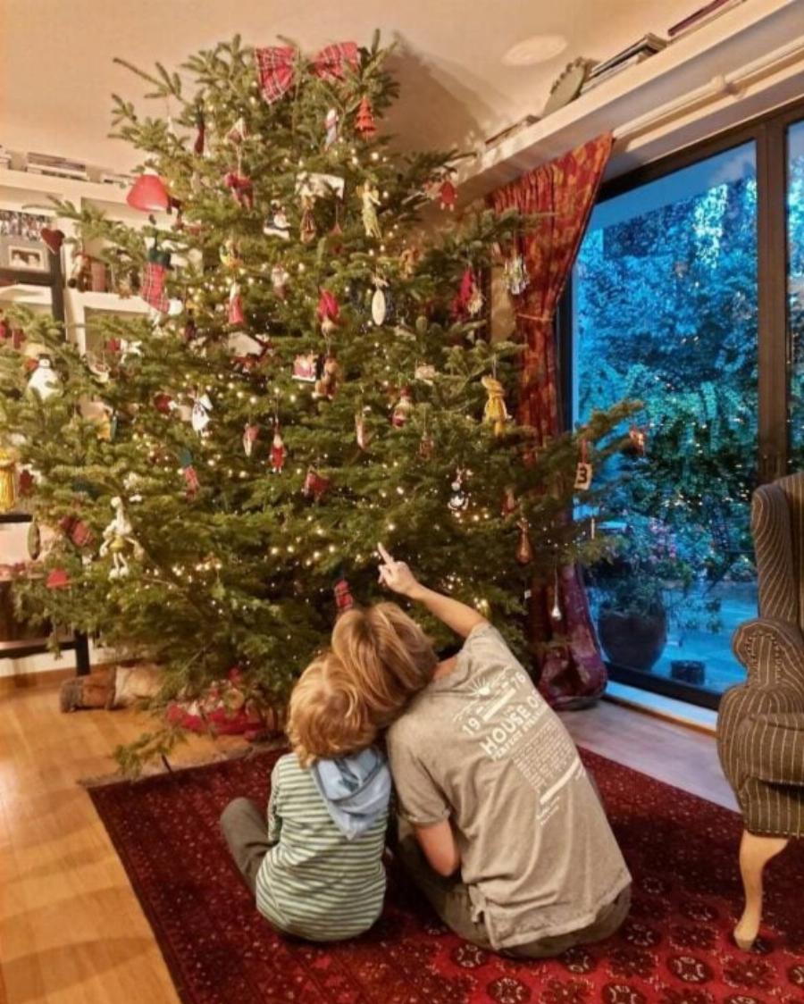 Σαν να βγήκε από χριστουγεννιάτικο παραμύθι: Το ονειρικό σπίτι της Ευδοκίας Ρουμελιώτη με το θεόρατο δέντρο, το τεράστιο σαλόνι και τον όμορφο κήπο